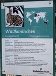rundgang wildpark wildbichl (1).jpeg